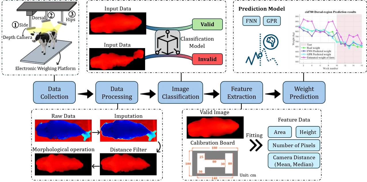 Flow chart of the main experimental items in this study